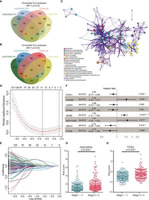 Development and Validation of an 8-Gene Signature to Improve Survival Prediction of Colorectal Cancer